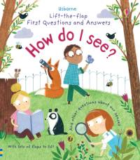 First Questions and Answers: How do I see? av Katie Daynes