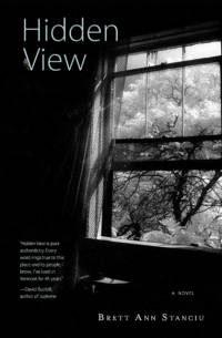 Hidden View av Brett Ann Stanciu