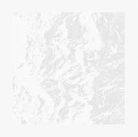 Michel Comte: Light av Michel Comte