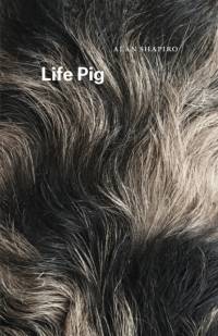 Life Pig av Alan Shapiro