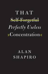 That Self-Forgetful Perfectly Useless Concentration av Alan Shapiro