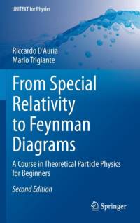 From Special Relativity to Feynman Diagrams av Riccardo D'Auria