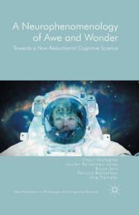 A Neurophenomenology of Awe and Wonder av Shaun Gallagher