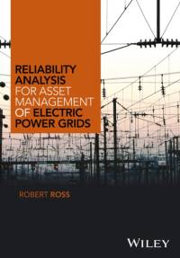 Reliability Analysis for Asset Management of Electric Power Grids av Robert (Consultant) Ross
