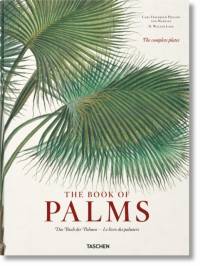 Martius. The Book of Palms av H. Walter Lack