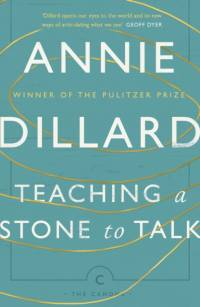 Teaching a Stone to Talk av Annie Dillard