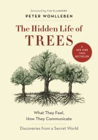 The Hidden Life of Trees av Peter Wohlleben