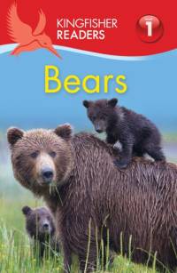 Kingfisher Readers: Bears (Level 1: Beginning to Read) av Thea Feldman