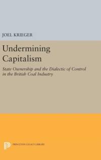 Undermining Capitalism av Joel Krieger