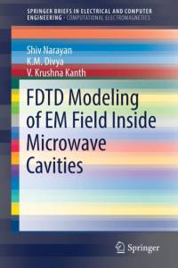 FDTD Modeling of EM Field inside Microwave Cavities av Shiv Narayan