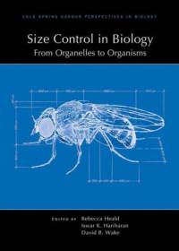 Size Control in Biology: From Organelles to Organisms av David (University of California Berkeley) Wake