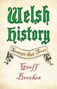 Welsh History: Strange but True av Geoff Brookes