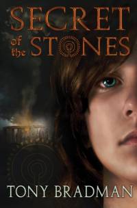 Secret of the Stones av Tony Bradman