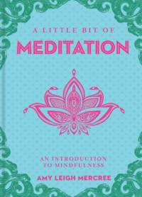 A Little Bit of Meditation av Amy Leigh Mercree