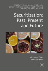 Securitization: Past, Present and Future av Alper Kara