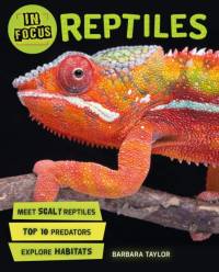 In Focus: Reptiles av Barbara Taylor