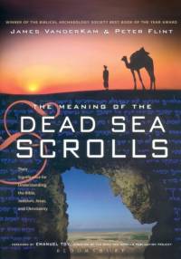 The Meaning of the Dead Sea Scrolls av Peter Flint