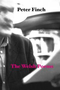 The Welsh Poems av Peter Finch