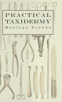 Practical Taxidermy - A Manual of Instruction To The Amateur In Collecting, Preserving, And Setting Up Natural History Specimens of All Kinds av Montagu Browne