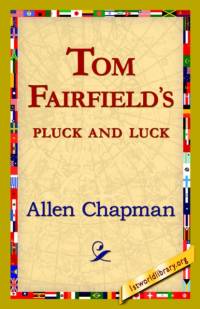 Tom Fairfield's Pluck and Luck av Allen Chapman
