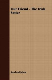 Our Friend - The Irish Setter by Rowland Johns
