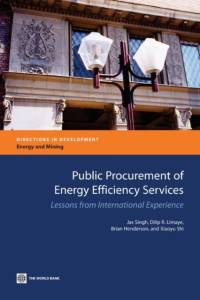 Public Procurement of Energy Efficiency Services av Brian Henderson