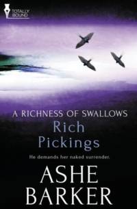 Richness of Swallows av Ashe Barker