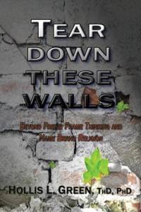 Tear Down These Walls av Hollis L Green