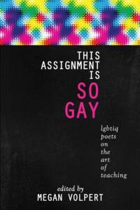 This Assignment Is So Gay av Megan Volpert