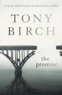 The Promise av Tony Birch