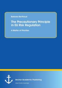 Precautionary Principle in EU Risk Regulation av Barbara Berthoud