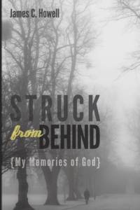 Struck from Behind av James C Howell