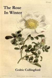 Rose in Winter av Professor Cedric Cullingford