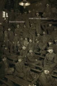 Fort Necessity av David Gewanter