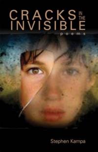 Cracks in the Invisible av Stephen Kampa