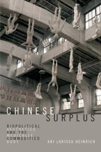 Chinese Surplus av Ari Larissa Heinrich