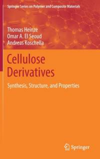 Cellulose Derivatives av Thomas Heinze