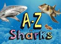 A–Z of Sharks av Paula Hammond