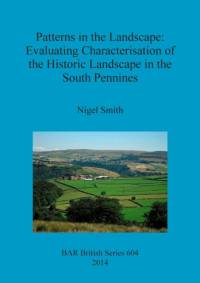 Patterns in the Landscape av Nigel Smith