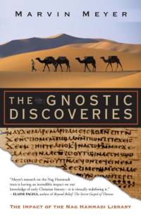 Gnostic Discoveries av Marvin W. Meyer