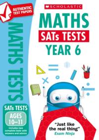 Maths Test - Year 6 av Paul Hollin
