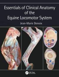 Essentials of Clinical Anatomy of the Equine Locomotor System av Jean-Marie (CIRALE-Hippolia Denoix
