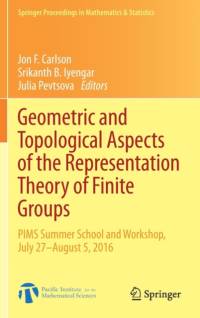 Geometric and Topological Aspects of the Representation Theory of Finite Groups