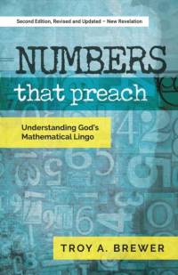 Numbers That Preach av Troy Brewer