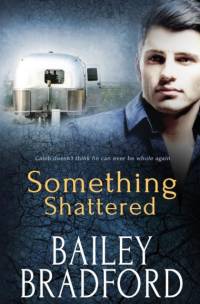 Something Shattered av Bailey Bradford