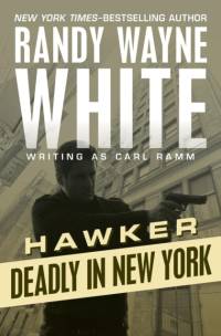 Deadly in New York av Randy Wayne White