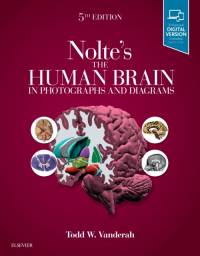 Nolte's The Human Brain in Photographs and Diagrams av Todd W. Vanderah