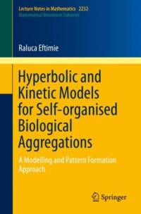 Hyperbolic and Kinetic Models for Self-organised Biological Aggregations av Raluca Eftimie