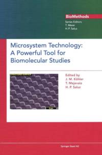 Microsystem Technology av Michael Kohler