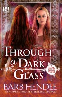 Through a Dark Glass by Barb Hendee